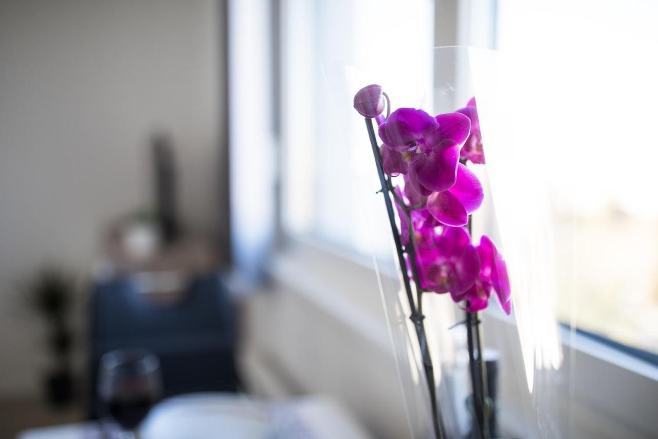 Studio Apartman Moonlight Zadar Buitenkant foto