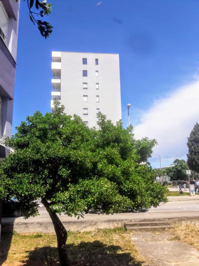 Studio Apartman Moonlight Zadar Buitenkant foto